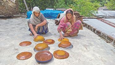 mango harvest.jpg