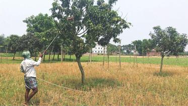 Awareness, monitoring and organic farming can prevent this