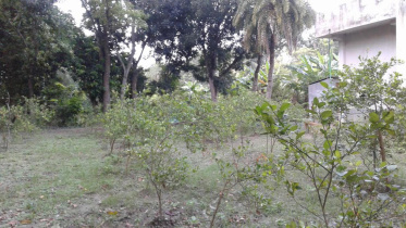 manikganj new.jpg