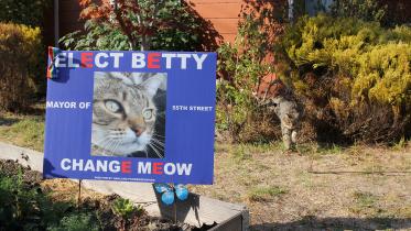 meow.JPG