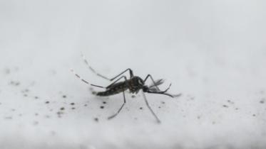 microplastics.jpg