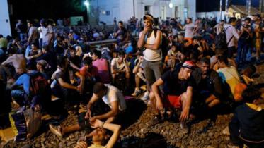 migrant-1.jpg