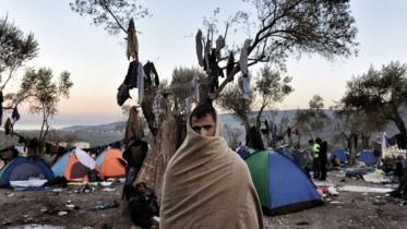 Migrants-1WB.jpg