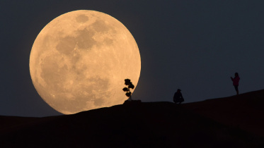 moon.jpg