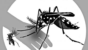 mosquito.jpg