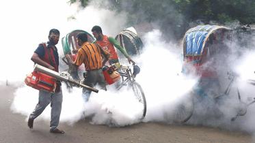 mosquito.jpg
