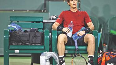 murray.jpg