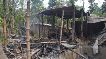 Natore-post-poll-violance-wb.jpg