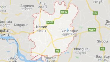 Natore.jpg