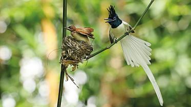 nature.jpg