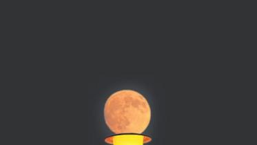 Nocturnal