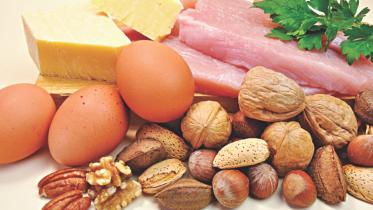 nutrition.jpg