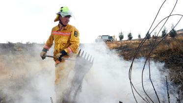 nz-reuters.JPG