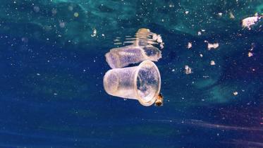 ocean plastic.JPG