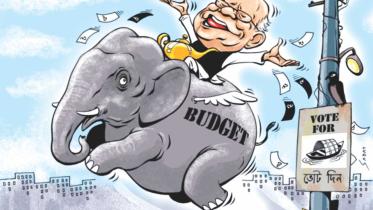 Of VAT, donkeys and horses