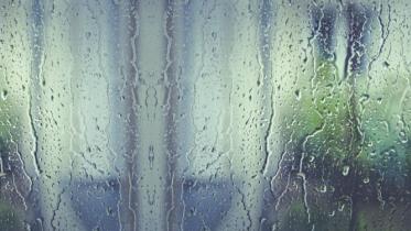 On my window pane