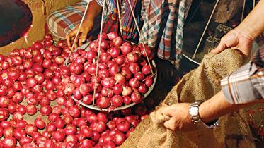 Onion-price.jpg