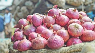 onion_18.jpg
