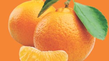 orange.jpg