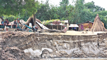 padma devour 1.jpg