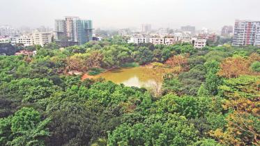 park.jpg