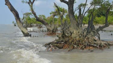 Patuakhali-Picture-05-(05.0.jpg