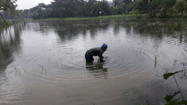 Patuakhali.jpg