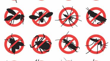 Pest control