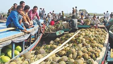 pineapple.jpg