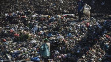 plastic-ann.jpg