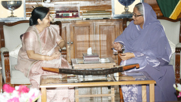 PMO5329.jpg