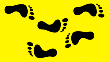 po.png
