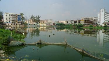 pond.jpg