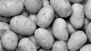 potato.jpg