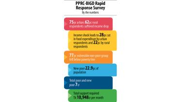 pprc-bigd-survey.jpg
