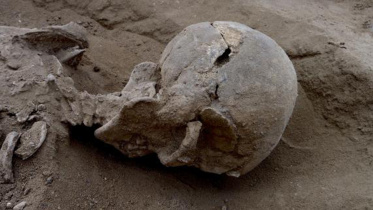 prehistoric new.jpg