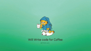 Programmer
