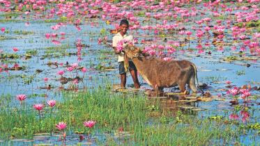Pronov Ghosh