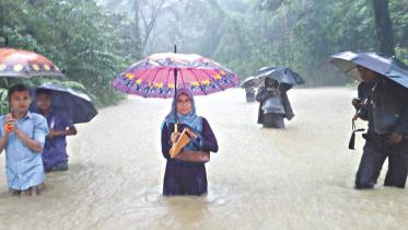 rain 1.jpg