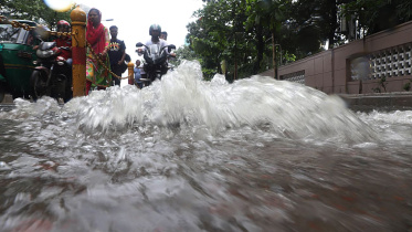 rain flood.jpg