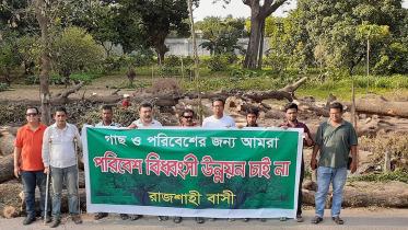 Rajshahi trees.jpg
