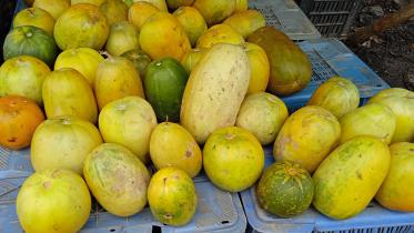 Rangmatai Chinal Photo (1) (1).jpg