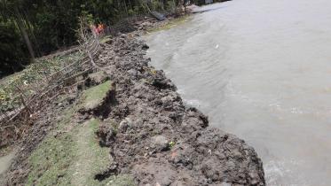 Regular-flooding.jpg