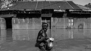 resilience-to-climate-change.jpg