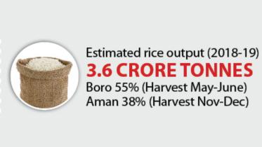 Rice.jpg