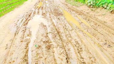 road.jpg