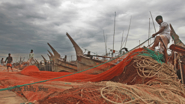 Roano-3.gif
