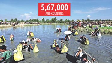 Rohingya