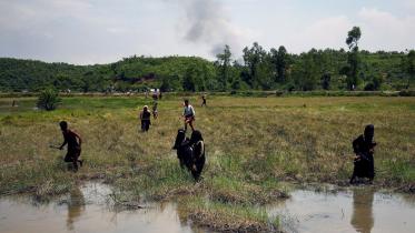 Rohingya crisis