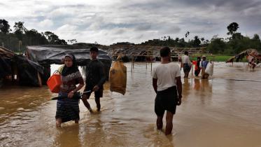 Rohingya crisis